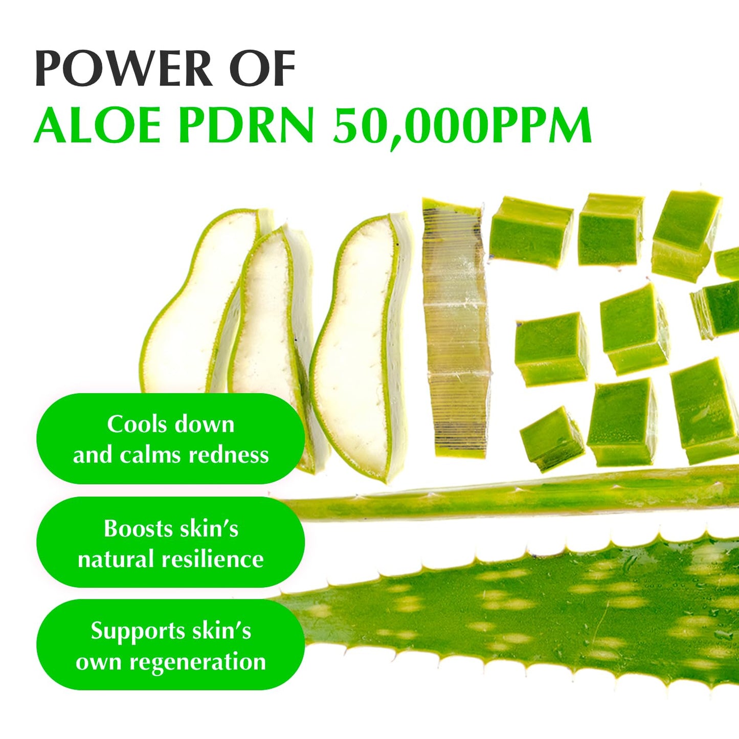 EQQUALBERRY Green Aid Aloe PDRN Calming Serum - Glam Secret