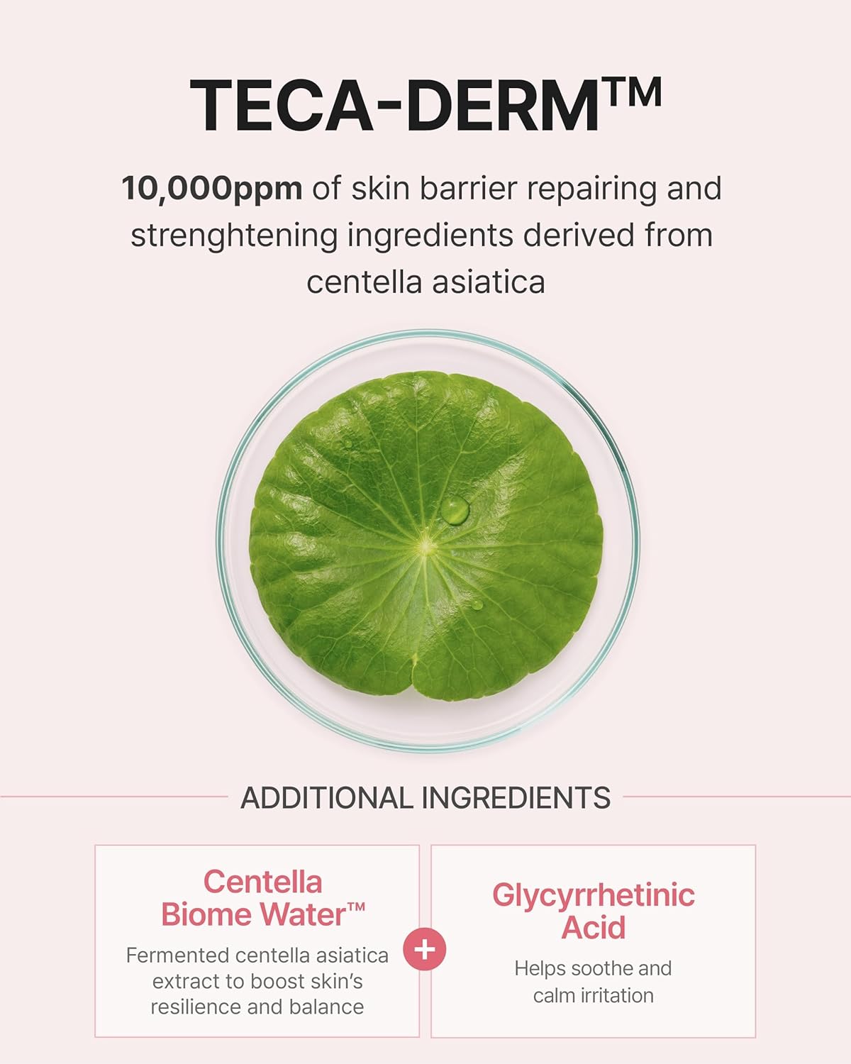 CENTELLIAN24 Korean ampoule for dewy, smooth, and refreshed skin
