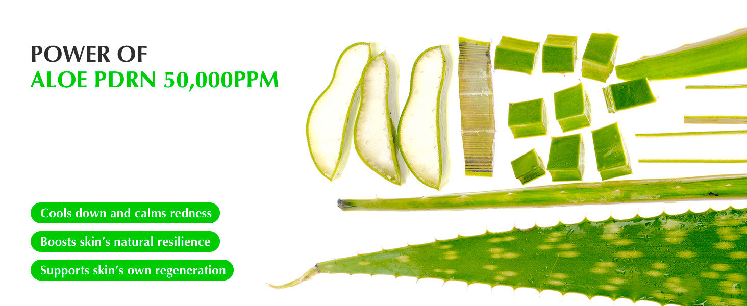 EQQUALBERRY Green Aid Aloe PDRN Calming Serum - Glam Secret