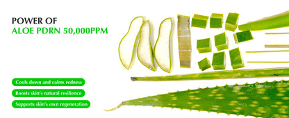 EQQUALBERRY Green Aid Aloe PDRN Calming Serum - Glam Secret