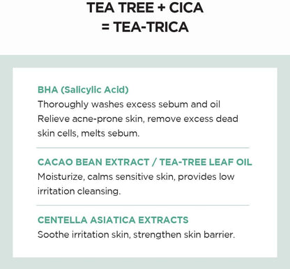 SKIN1004 Madagascar Centella Tea-Trica Bha FoamCleansing FoamGlam Secret