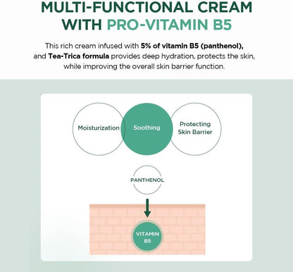 SKIN1004 Madagascar Centella Tea-Trica B5 CreamCreamGlam Secret