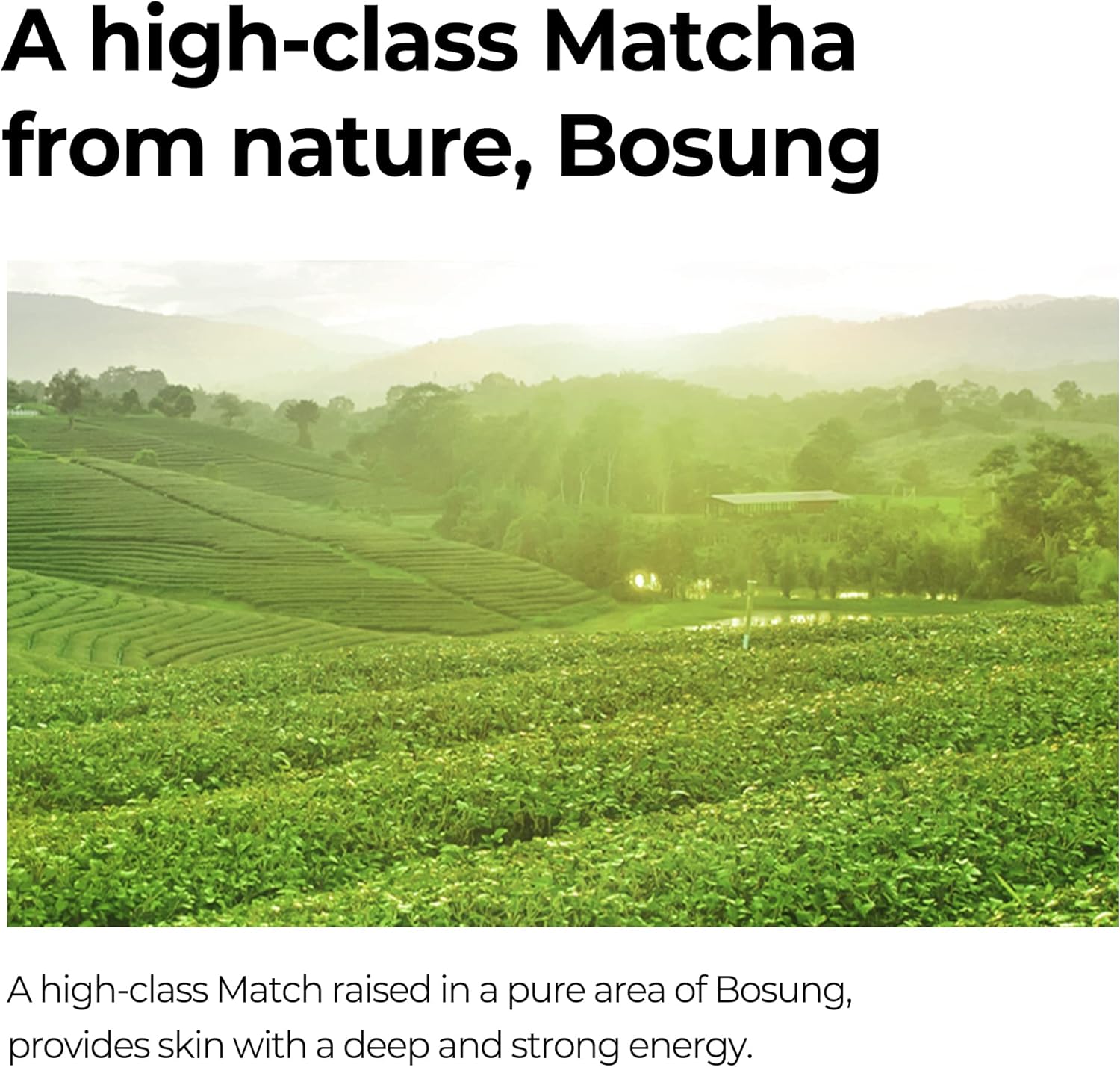 SOME BY MI Super Matcha Toner - Glam Secret