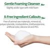 Etude House Ac Clean Up Cleansing Foam Tea Tree 150 mlCleansing FoamGlam Secret