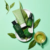 innisfree Green Tea Seed Intensive Hydrating Cream Face Moisturizer 50mlMOISTURIZERGlam Secret